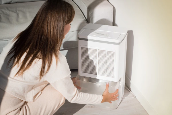 Melhores Climatizadores de Ar